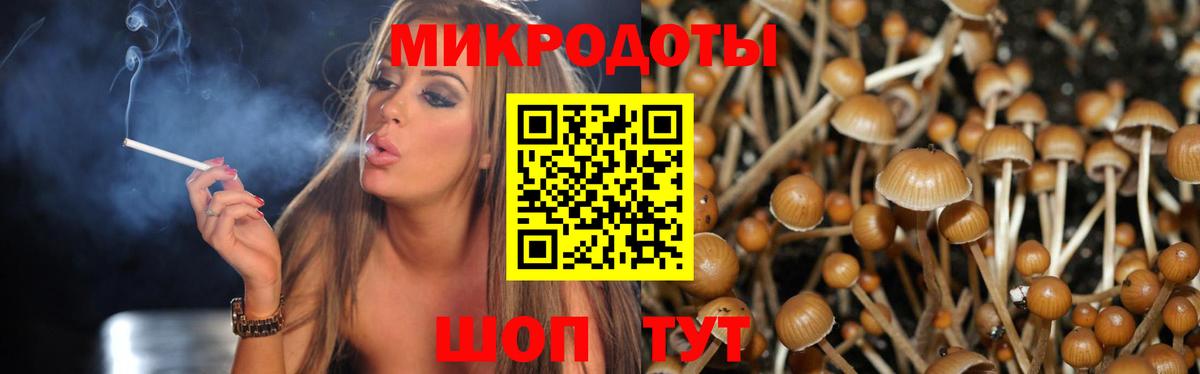 Псилоцибиновые грибы Magic Shrooms  Вход с VPN  Пермь 